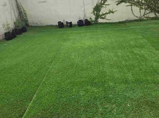 Javier M.'s grass cutting service result