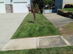 Scott B.'s grass maintenance service result