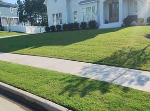 Kyle H.'s lawn maintenance service result