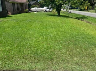 Ethan B.'s turf maintenance service result