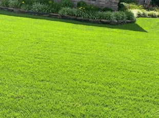 Melissa M.'s grass maintenance service result