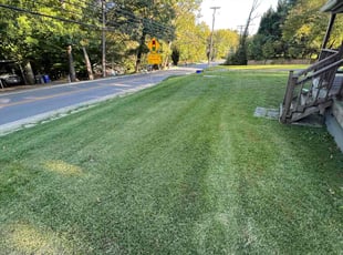 Deborah W.'s turf care service result