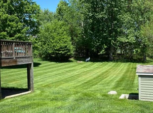 Craig W.'s turf care service result