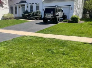 Mathew C.'s yard work service result