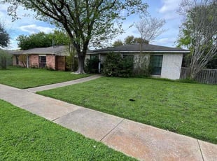 Thornton A.'s turf care service result