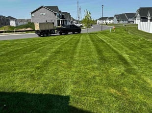 Sina S.'s lawn care services service result