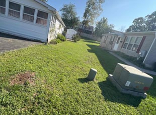 Holly A.'s turf maintenance service result
