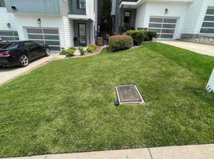 Paula P.'s turf maintenance service result