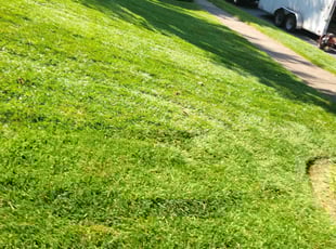 Richard C.'s lawn care service result