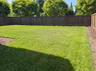 Matthew H.'s landscape maintenance service result
