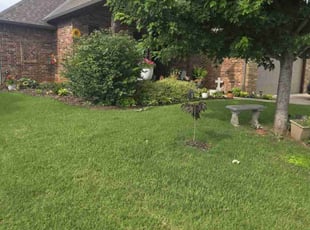 Karla I.'s grass maintenance service result