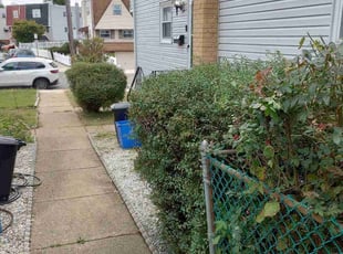 Rob D.'s Bush Trimming service result