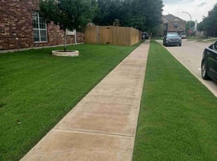 Rosanna Z.'s turf maintenance service result
