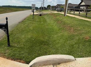 Antuan W.'s turf care service result