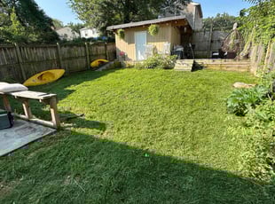 Sonja H.'s turf maintenance service result