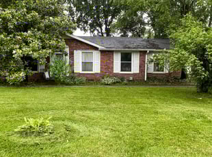 Linda S.'s Cleanups service result