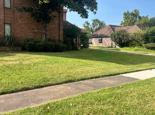 Ben R.'s turf maintenance service result
