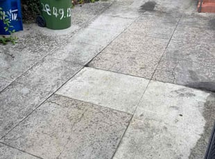 Heather F.'s Long Grass Cleanup service result