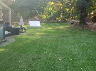 Steedin P.'s lawn maintenance service result