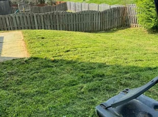 Carol F.'s turf maintenance service result