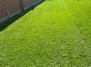 Donald L.'s lawn service service result