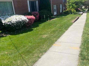 Phillip K.'s grass cutting service result