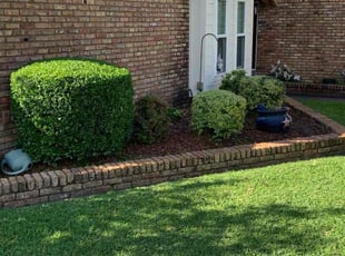 Raja C.'s Bush Trimming service result
