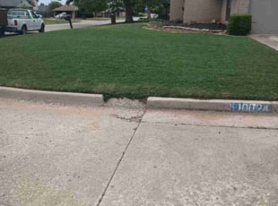 Dwight B.'s yard care service result