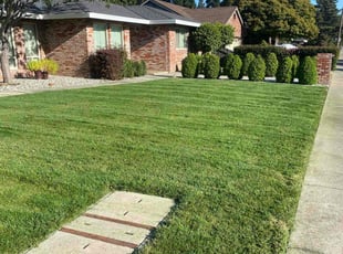 Billie H.'s grass maintenance service result