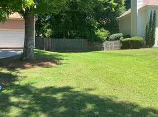 Patricia M.'s turf maintenance service result