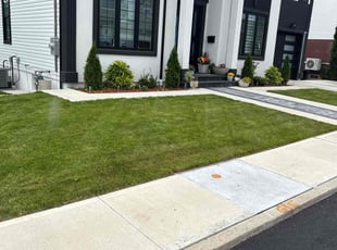 David M.'s turf care service result