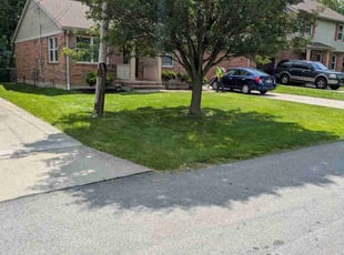 Michael H.'s turf care service result