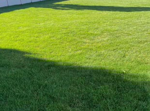 Jodi P.'s lawn service service result