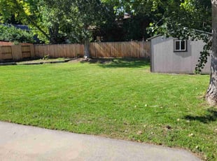 Chris S.'s turf maintenance service result