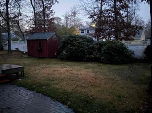 Cynthia W.'s Bush Trimming service result