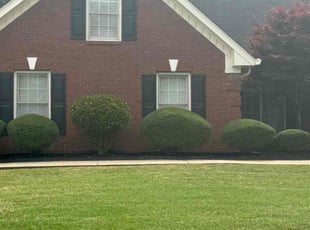 Abby P.'s Bush Trimming service result