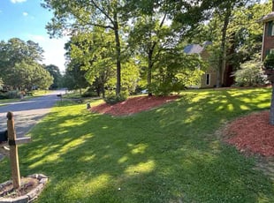 Heather G.'s grass maintenance service result