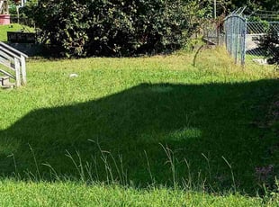 Jayant A.'s lawn care service result