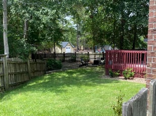 Precious J.'s turf care service result