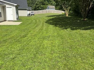 Steven B.'s lawn care service result