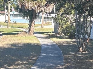 Maria V.'s turf care service result