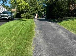 Daniel W.'s lawn service service result