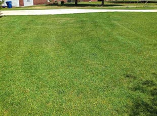 Doyle R.'s lawn maintenance service result