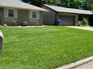 Kareemah M.'s landscaping service result