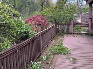 Judy K.'s Bush Trimming service result