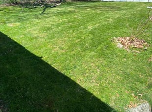Michael O.'s lawn care services service result