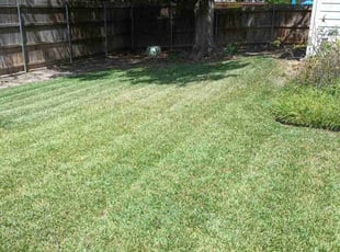 Angie F.'s grass cutting service result