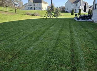 Jerissa C.'s turf maintenance service result