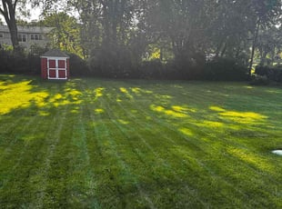 Minda p.'s grass cutting service result