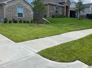Donnetta S.'s lawn care service result